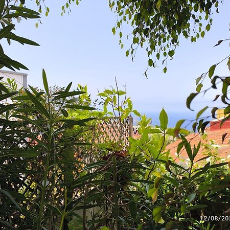 Casa Flora Garden Studio El El Sauzal Exterior foto